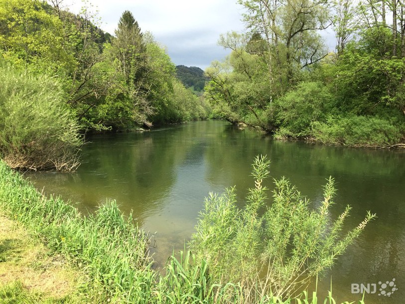 Doubs