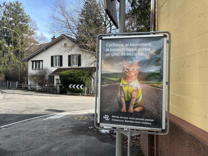 Pour leur campagne de prévention, le BPA a choisi d’utiliser des animaux, avec comme slogan : « Cyclistes, si seulement je pouvais aussi porter un gilet de sécurité ». (Photo : BPA).