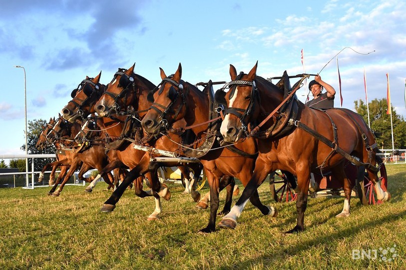 cheval