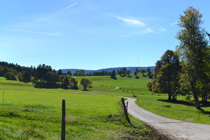 Un des mâts de 70m (au fond, en rouge et blanc), tel qu'ennova le prévoit sur le Mont de Boveresse. (Photomontage : Ennova).