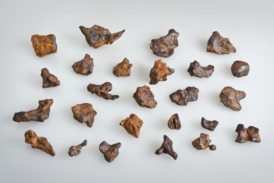 Photo : Naturhistorisches Museum der Burgergemeinde Bern.