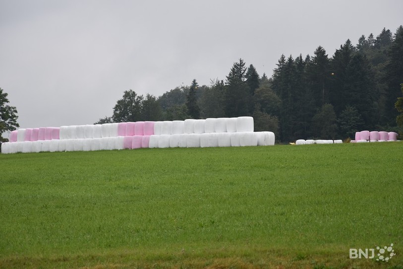 Thierry Nicolet, agriculteur au Crêt-du-Locle, a emballé 400 balles de foin en rose.