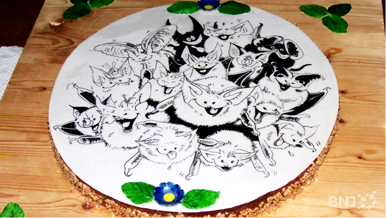 Nuit de la chauve-souris - Gâteau du 20ème