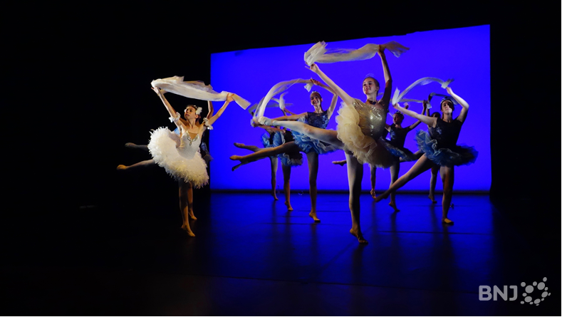Ecole de Danse Inès Meury-Bertaiola - Le Diamant Bleu