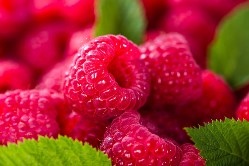 Framboise