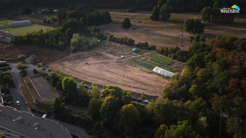 Potagers urbains de Pierre-à-Bot