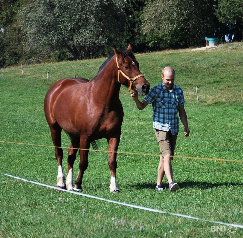 Mikaël Zürcher, agriculteur au Mont Crosin