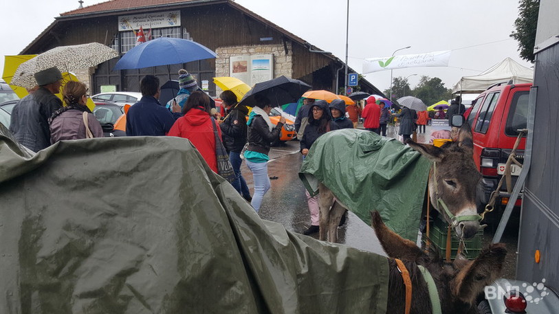 Marché Bio