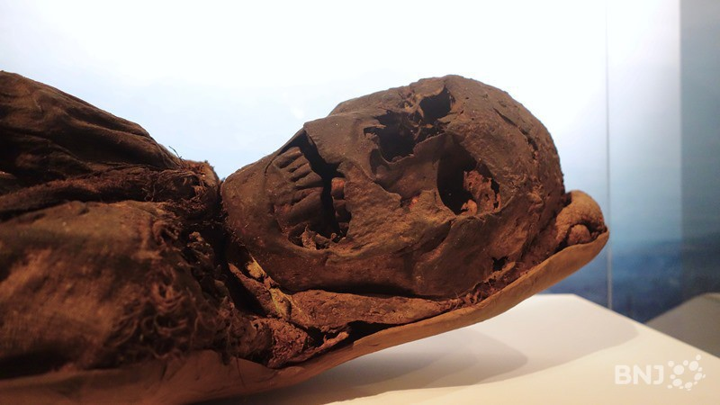 Momie des Andes au Musée à Delémont
