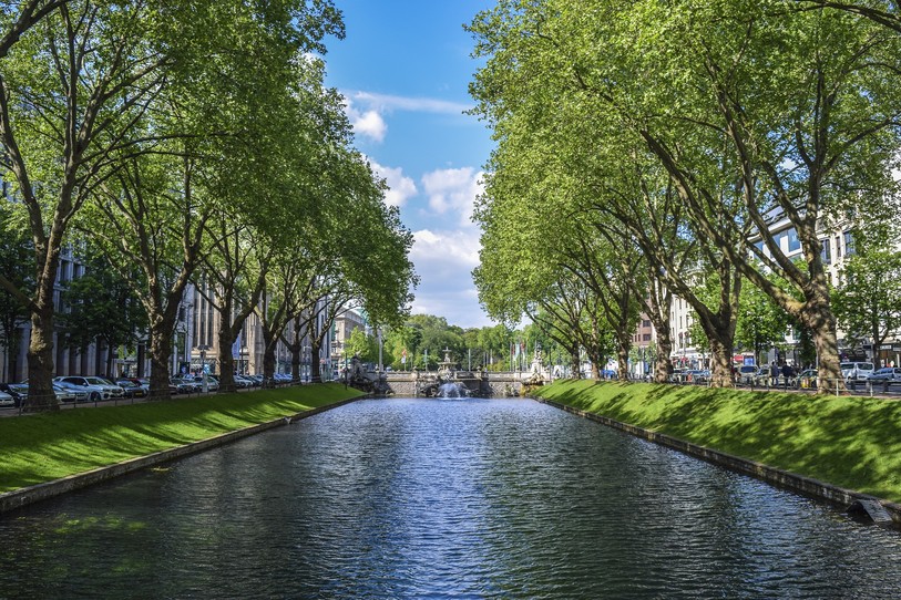 arbres en ville