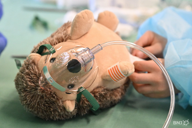 Les doudous ont été soignés durant deux week-ends à l'Hôpital du Jura dans le cadre de l'Hôpital des nounours. (Photo : archives / Georges Henz).