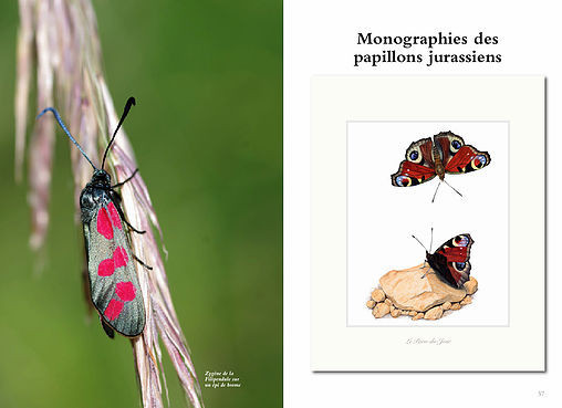 Page ouverte du livre