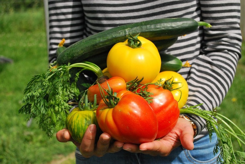 Tramelan veut notamment inciter les citoyens à cultiver leurs propres légumes (ldd)