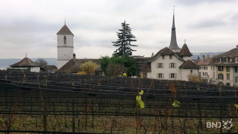 Un parking souterrain de 200 places pourrait être construit sous les vignes derrière le Cheminet