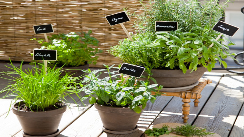 Source: Déco