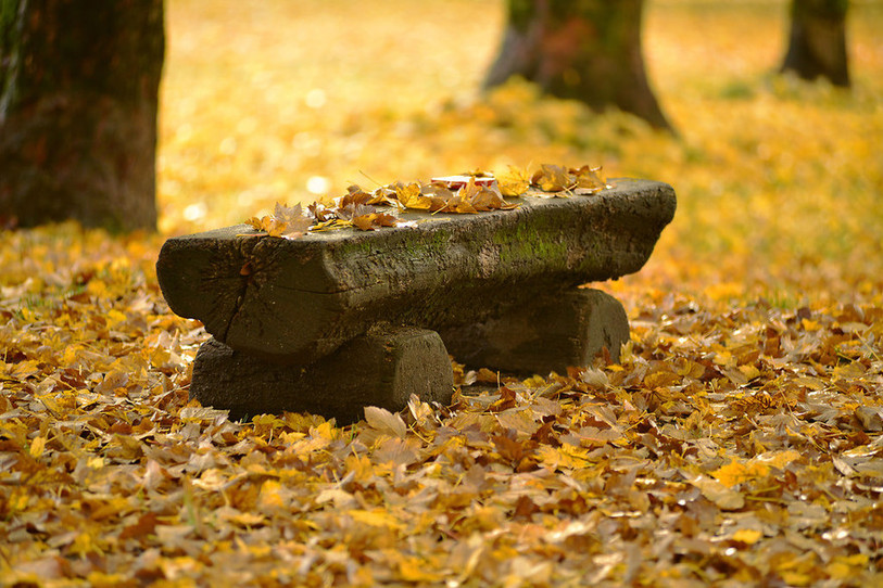 Source: Flickr