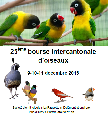 Bourses aux oiseaux