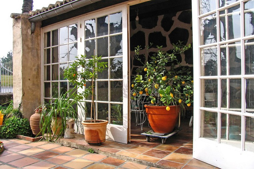 Un jardin d'hiver