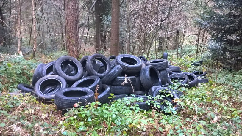Pneus dans la forêt Develier