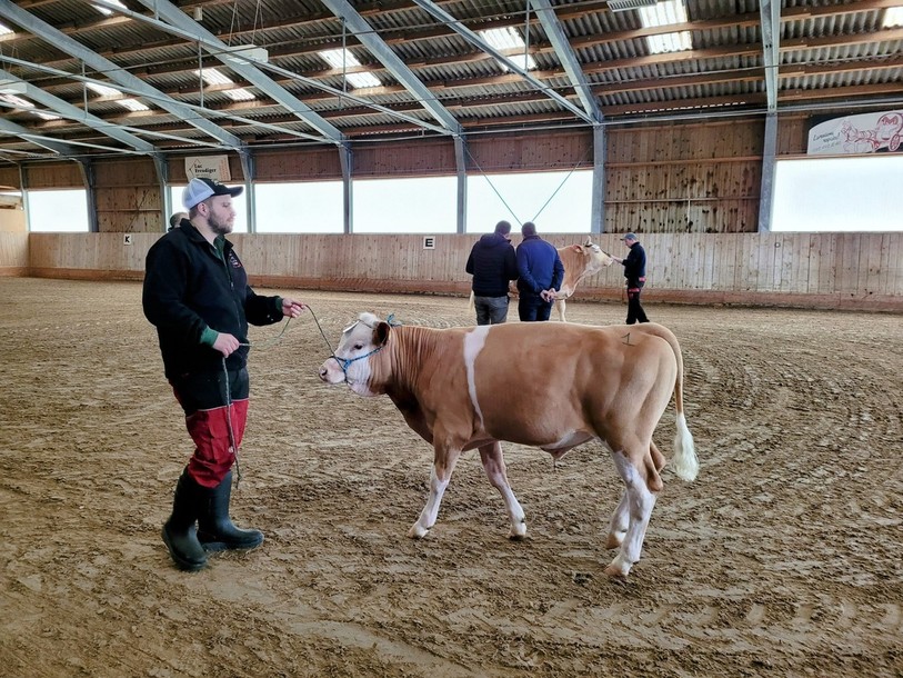 Christian Tschanz a défilé avec son taureau qui a obtenu son entrée dans le Herd-book.
