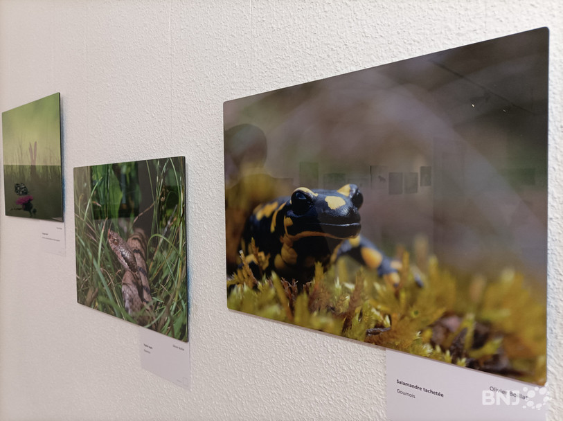 L'exposition est à voir du 11 mars au 28 mai.