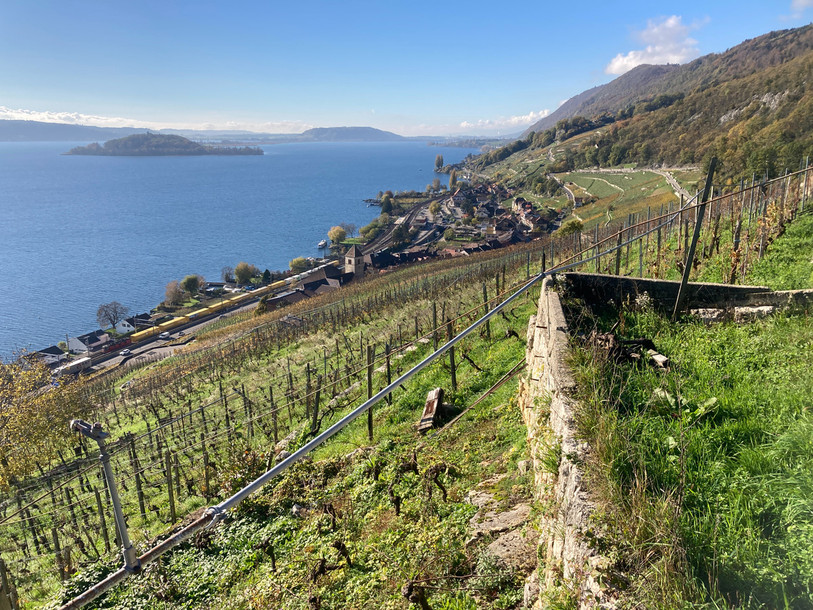 Un mur de vigne au lieu-dit « Chapf », à Twann (photo : Parc Chasseral).