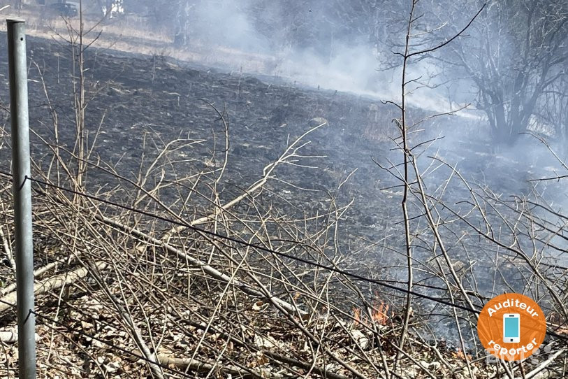 Les flammes ont détruit des pâturages à proximité de la Tour de Moron.