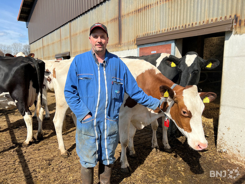 L'une des vaches de Roger Frossard a été sacrée championne de la Coupe des éleveurs. (Photo : archives). 