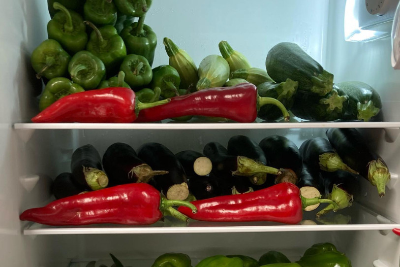 Marilyn Béguin insiste sur le fait que la lutte contre le gaspillage alimentaire est une affaire de chacun et que donc tout le monde est invité à piocher dans les réserves de Free Go. (Photo : Free Go)