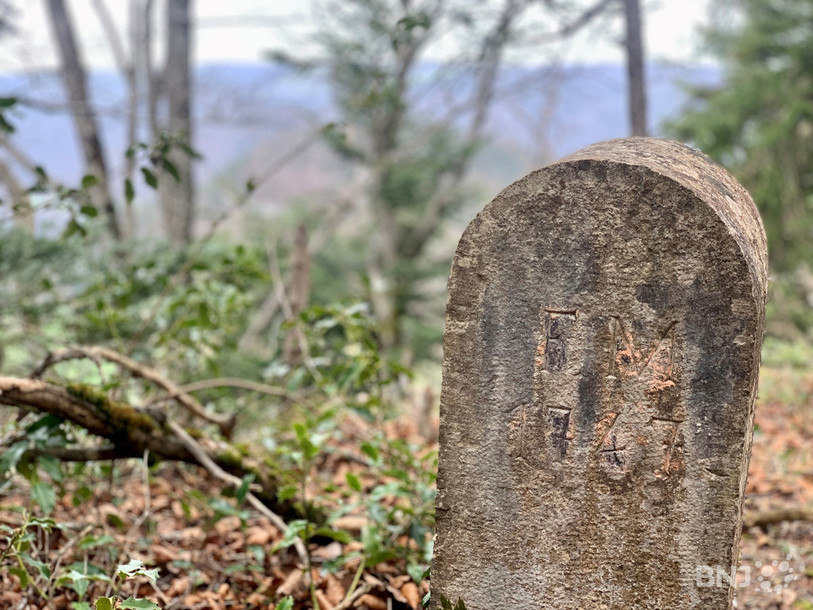 Cette vieille borne du 18e siècle indiquait la limite entre la terre franc-montagnarde et le royaume de Franquemont.
