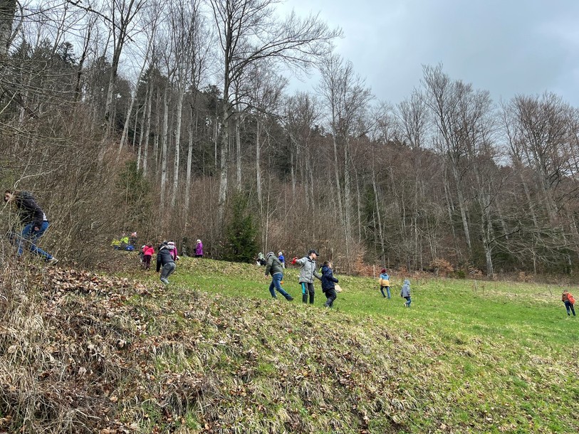Les chasseurs ont pris d'assaut la forêt de Renan aux alentours de 15 heures.