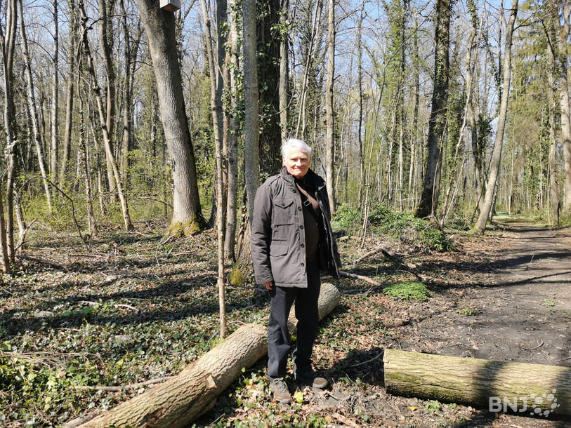 En attendant l'ouverture officielle du sentier, des troncs balisent provisoirement le secteur, nous explique Léonard Farron, responsable réseau pour Neuchâtel Rando.