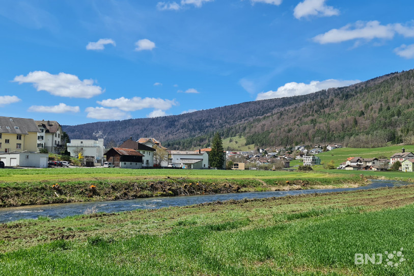 Le Canton a débloqué une subvention de 1,2 million de francs pour les travaux de revitalisation de la Suze à Sonceboz-Sombeval.