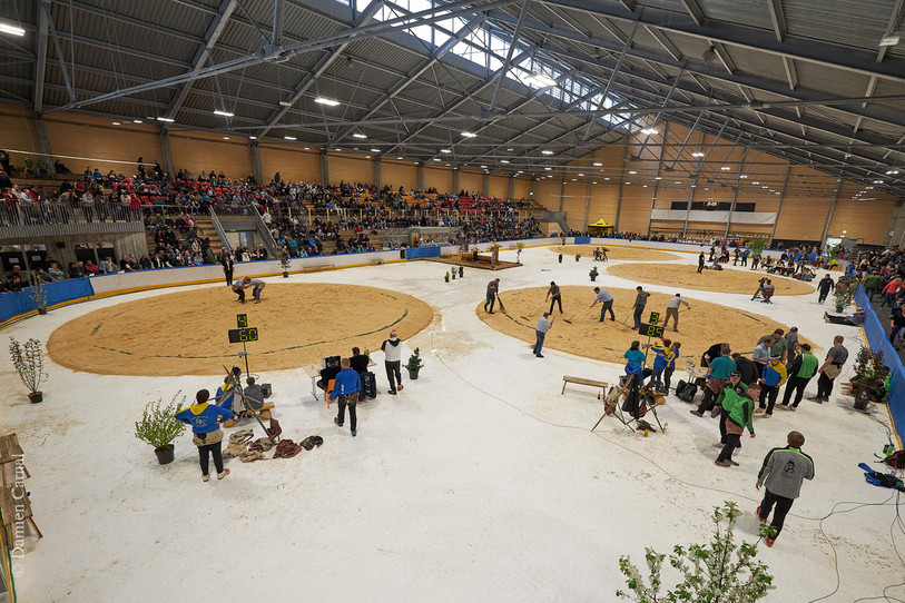 Ils étaient 1'500 ce dimanche pour assister aux passes de lutte à la Clientis Arena. (Photo: Damien Carnal)