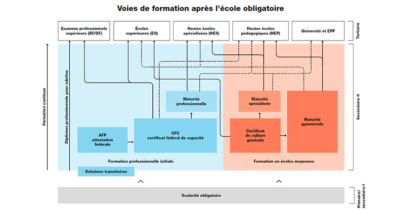 Voies de la formation