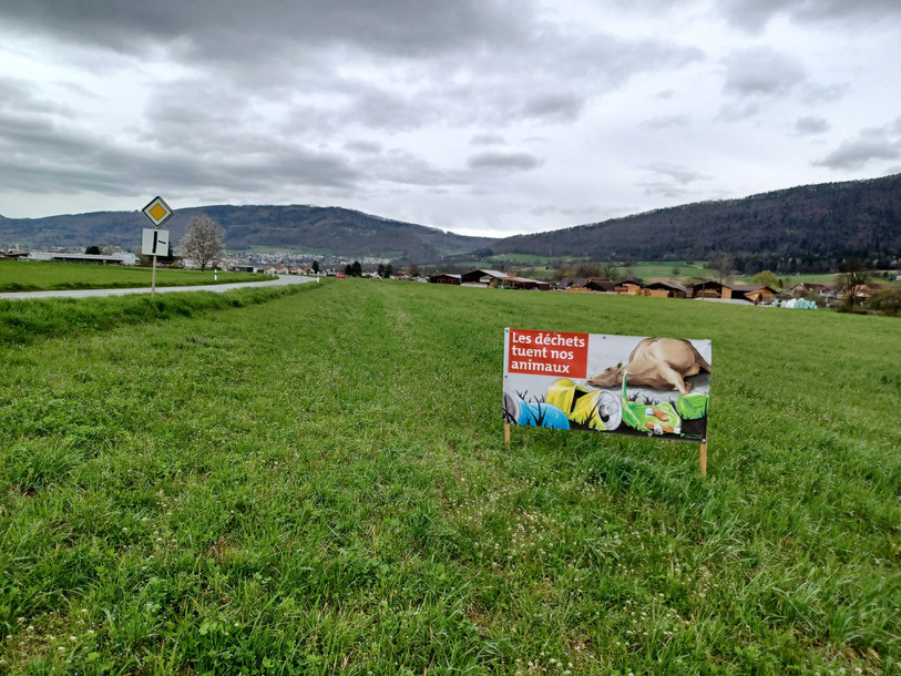 Agrijura a installé des panneaux, posés ici chez Damien Fleury en bordure de la route Courroux-Vicques. (Photo : Agrijura).
