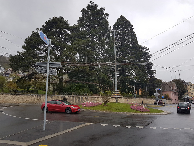 Les travaux d'entretien sur les arbres aux abords du giratoire de Peseux sont reportés à septembre. (Photo : Chancellerie d'Etat)