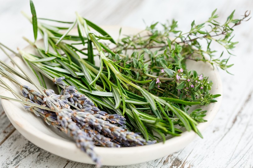 herbes aromatiques