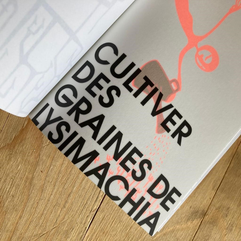 Chaque chapitre du livre est illustré par une sérigraphie.