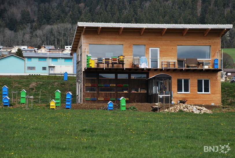 Le rucher de l'association Espace Abeilles