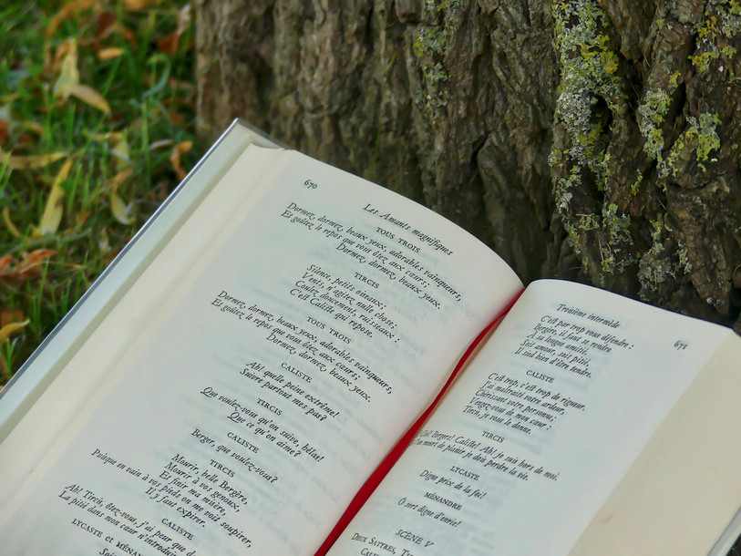 Le texte de Molière se dévoile en pleine nature.