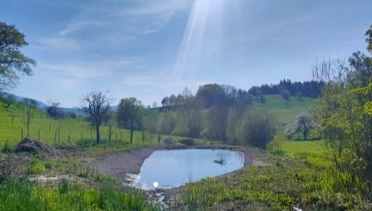 L'étang de Rière Chaumai devient une réserve naturelle communale. (Photo: Lucas Wolfer)