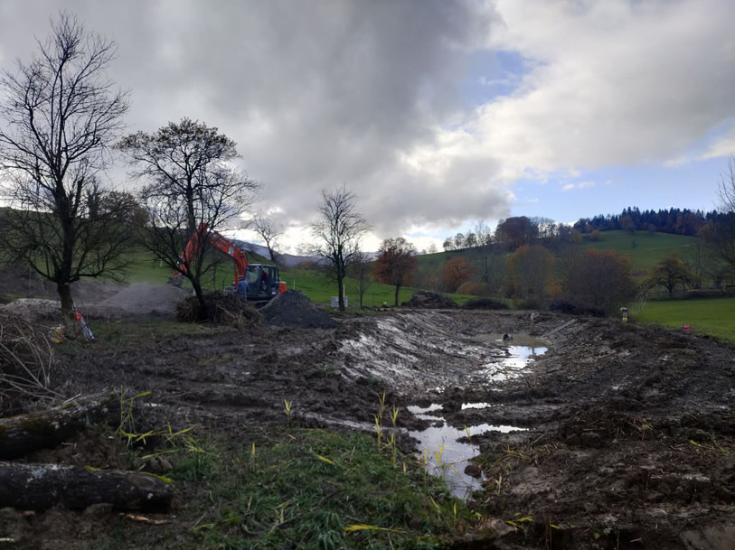 L'étang pendant la revitalisation. (Photo: Lucas Wolfer)