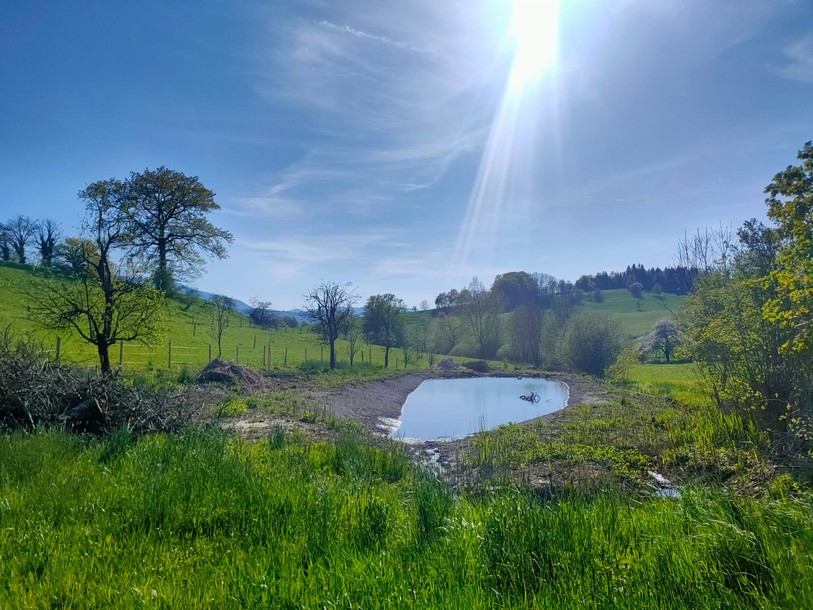 L'étang Rière Chaumai tel qu'il est à présent. (Photo: Lucas Wolfer)