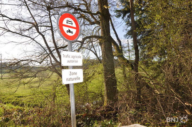 Entrée dans la zone de bas-marais de Damphreux