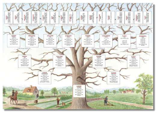 Un arbre généalogique