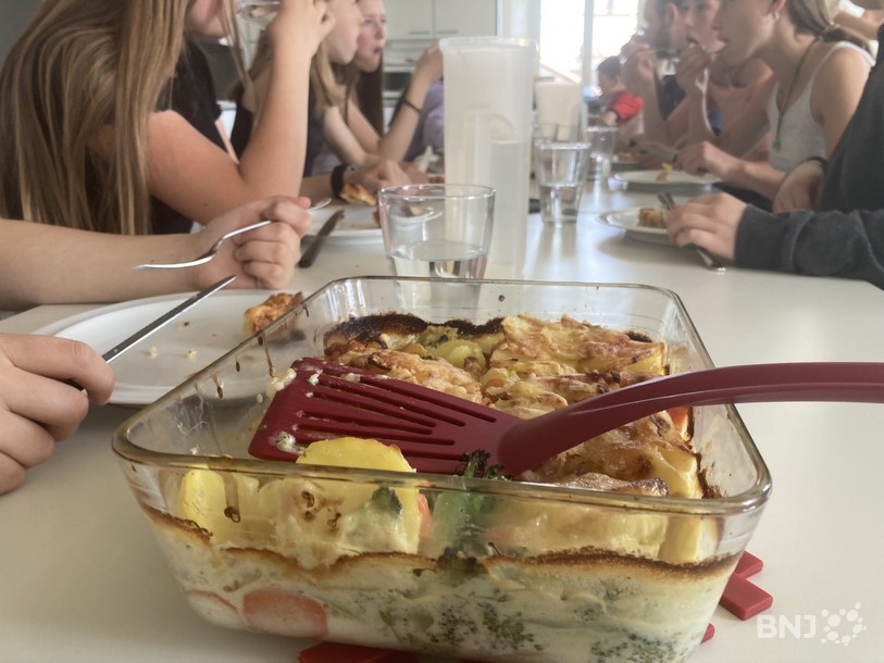 Succulent gratin
