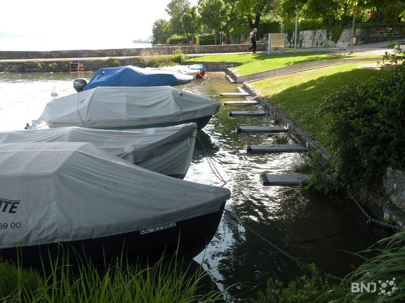 Des cyanobactéries ont été détectées dans le port de Vigneules. (Photo : archives)