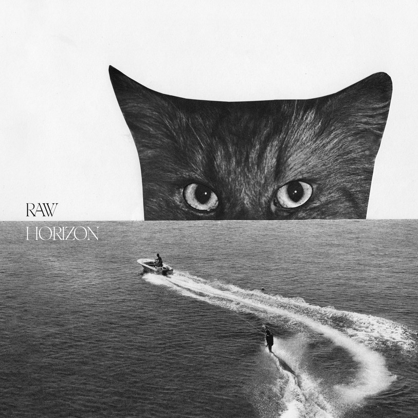 RAW Horizon (pochette)
