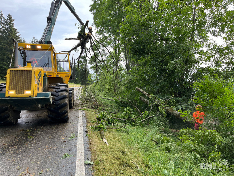 Bûcherons et cantonniers ont été mobilisés pour dégager la route entre Montfaucon et Le Bémont.